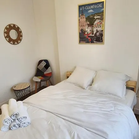 Magnifique Duplex Avec Terrasse, Proche De Av Champagne Apartment Épernay